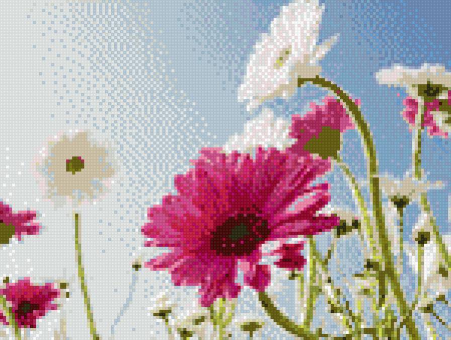 Цветульки - лето, цветы, поле - предпросмотр