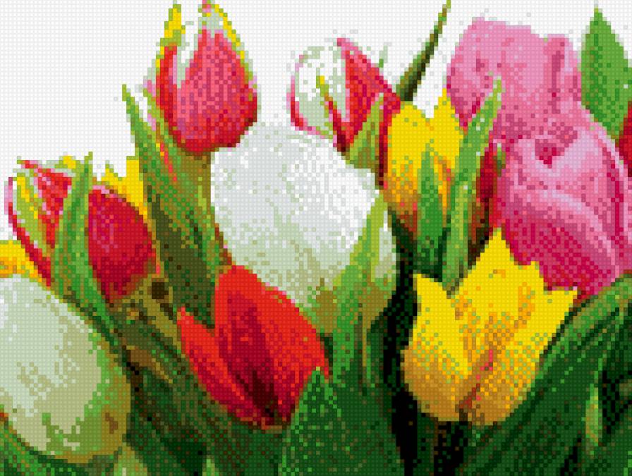 Букет тюльпанов - тюльпаны, цветы - предпросмотр