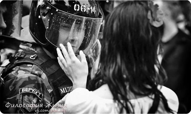 Беркут - оригинал