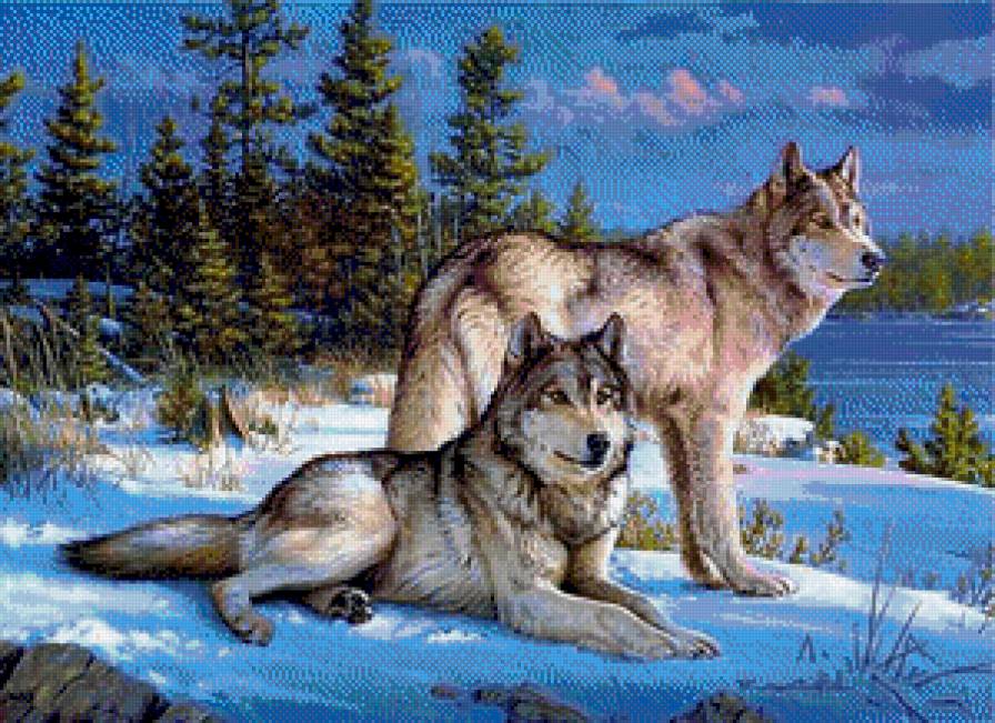 Волки - волк - предпросмотр