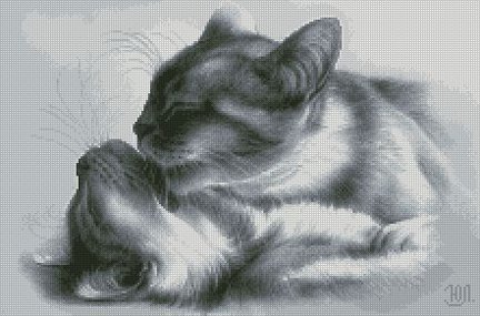 Коты - коты - оригинал