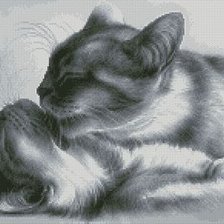 Оригинал схемы вышивки «Коты» (№691425)