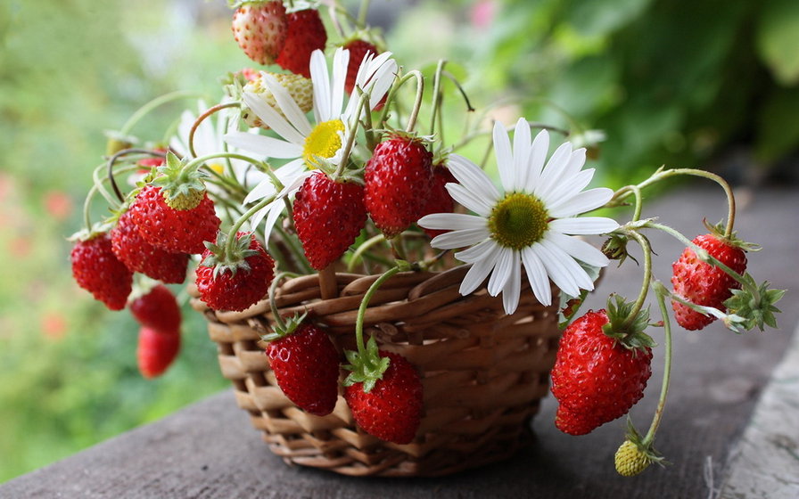 ягодка - ягоды, натюрморт, цветы, корзинки - оригинал