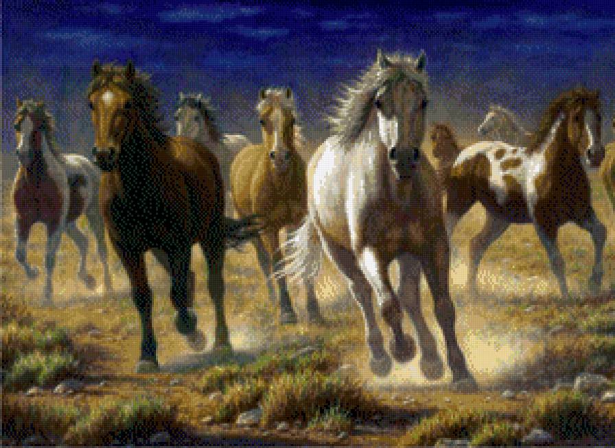 Bo Nowell - konie - предпросмотр