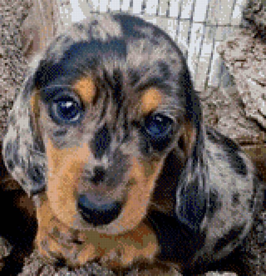 песик - предпросмотр