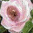 Предпросмотр схемы вышивки «цветы» (№691890)