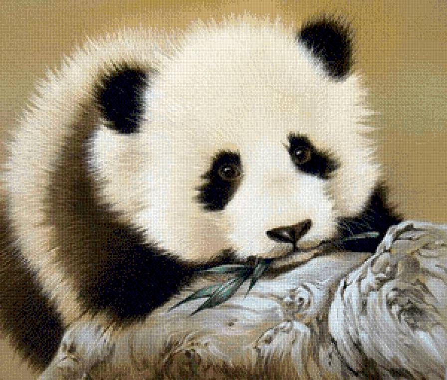 №691967 - предпросмотр