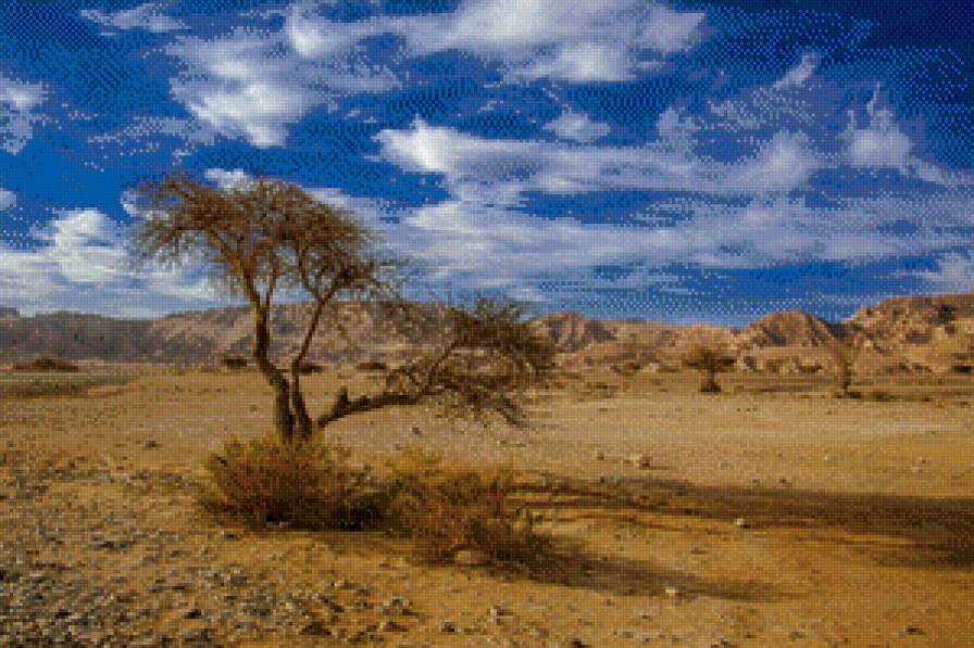 пустыня - предпросмотр