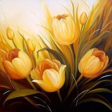 желтые тюльпаны