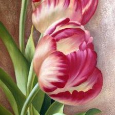 Оригинал схемы вышивки «тюльпаны» (№692110)