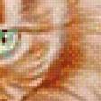 Предпросмотр схемы вышивки «рыжий кот» (№692175)