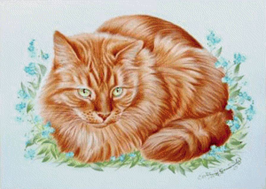 рыжий кот - предпросмотр