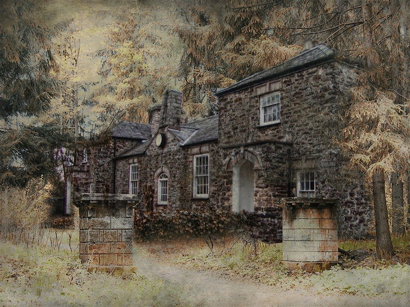 дом - оригинал