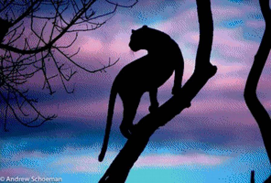 Силуэт дикой кошки - природа, животные, кошка, дерево, силуэт - предпросмотр