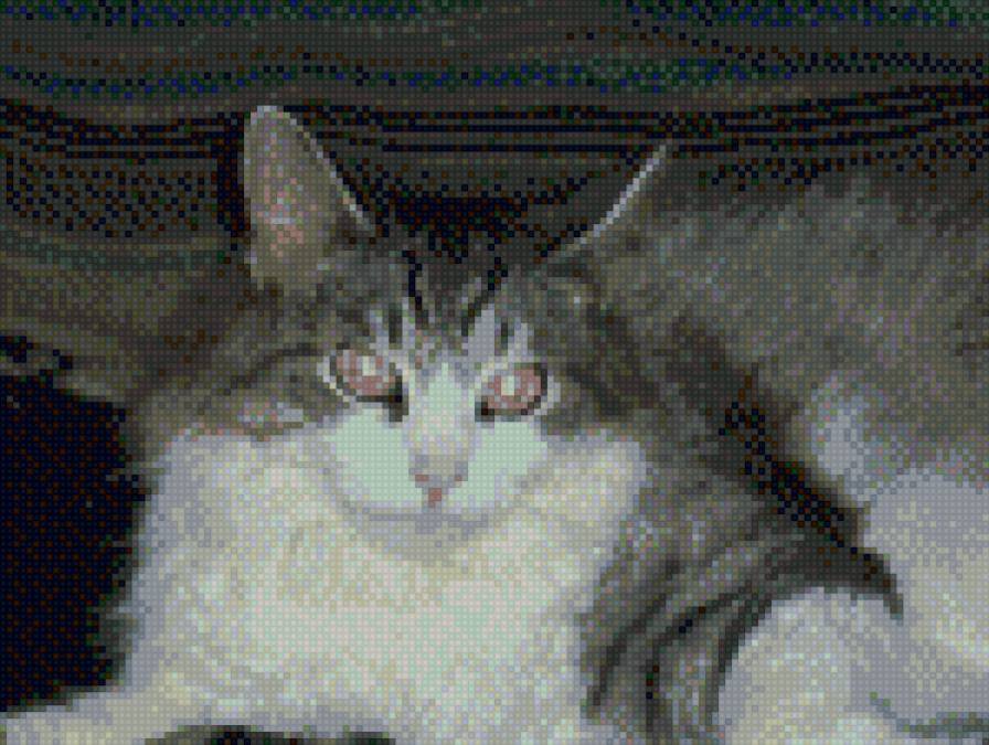 кошка - предпросмотр