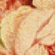 Предпросмотр схемы вышивки «Розы» (№692802)