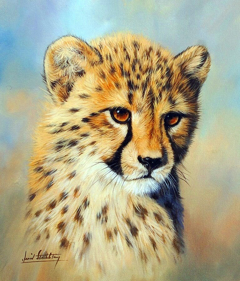 2529 - оригинал