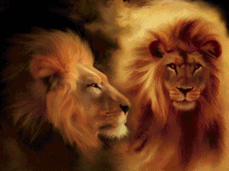 2528 - предпросмотр