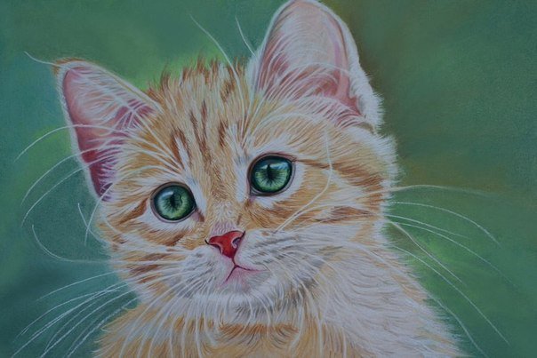 Рыжий кот - животные, кот - оригинал