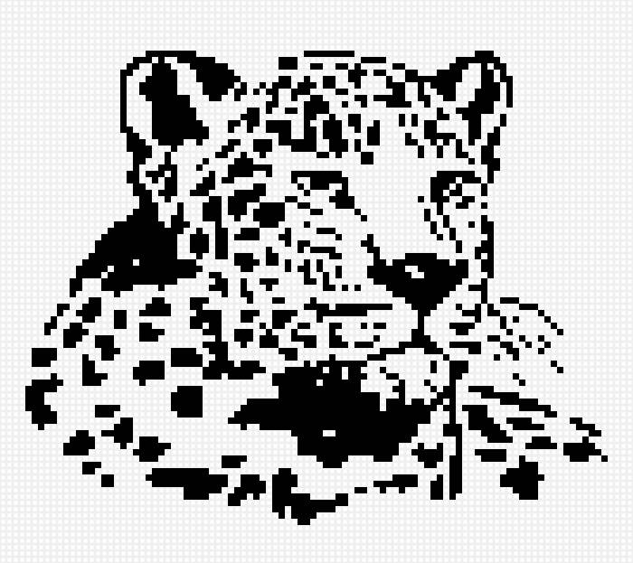 леопард - кошка, животные, леопард, монохром, природа, черно-белый, кот - предпросмотр