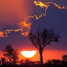 Схема вышивки «природа»