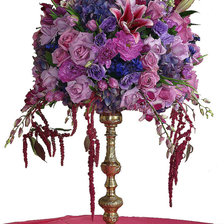 Изысканность