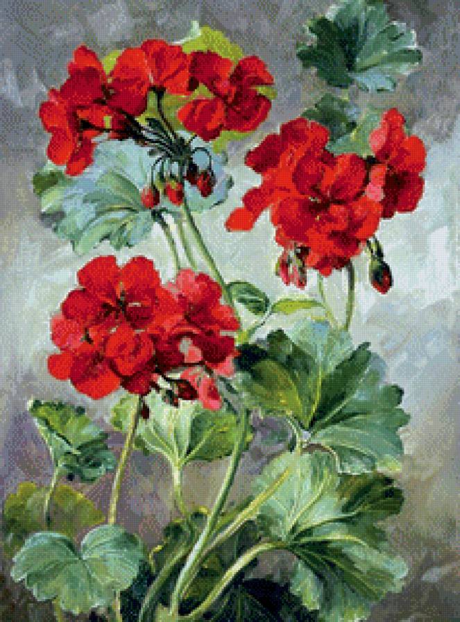 №693256 - живопись, цветы, герань - предпросмотр