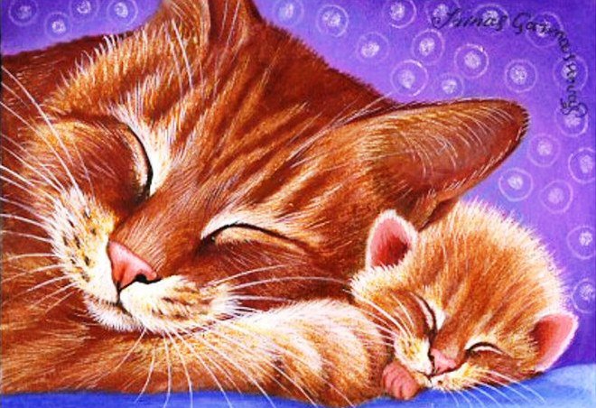 №693388 - мать и дитя, кошки, пано, животные, природа - оригинал