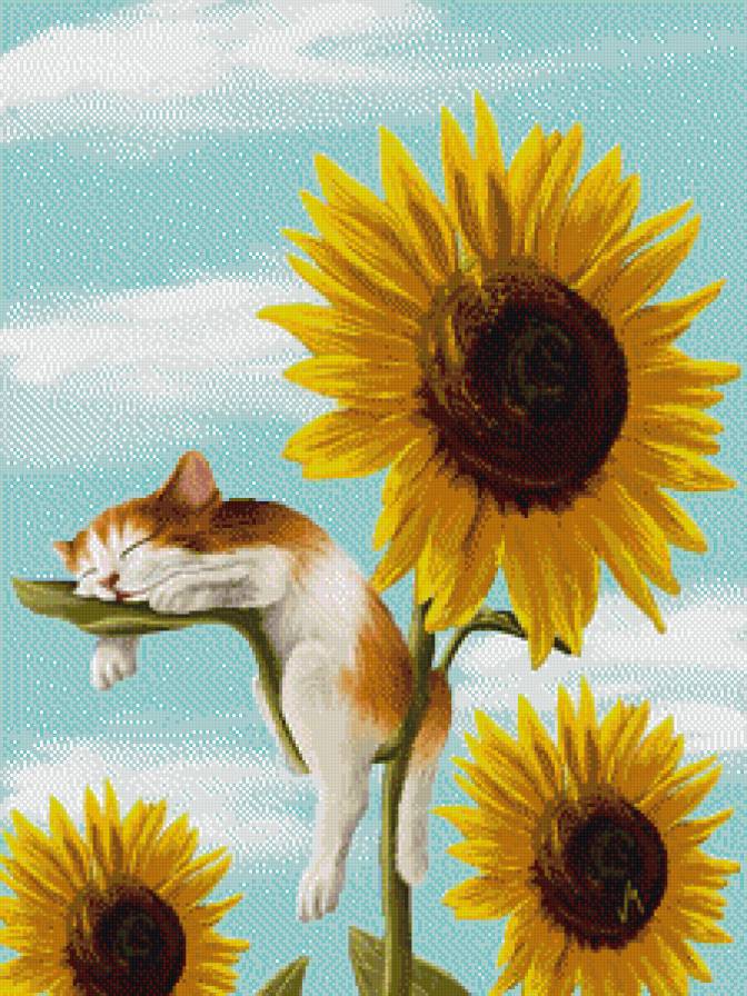 сладкий сон - коты - предпросмотр