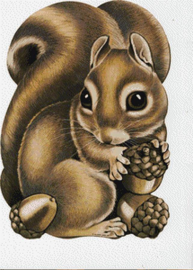 лесная жительница - белка - предпросмотр