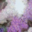 Предпросмотр схемы вышивки «Сирень» (№693431)