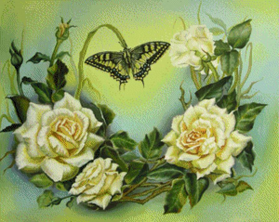 Бабочка и розы - предпросмотр