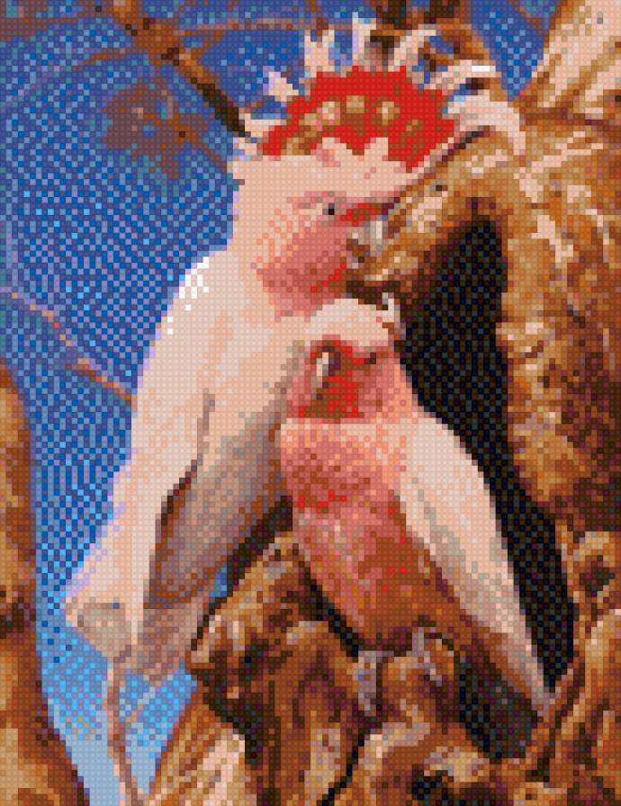 какаду1 - предпросмотр