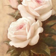 Оригинал схемы вышивки «Нежные розы» (№693755)