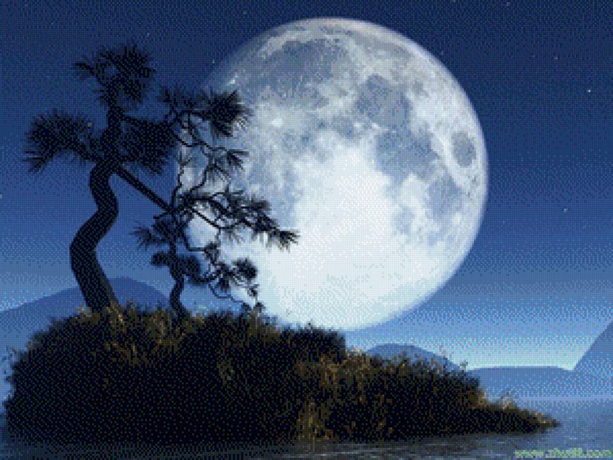 Ночь - ночь, пейзаж, сосна, китай, природа - предпросмотр