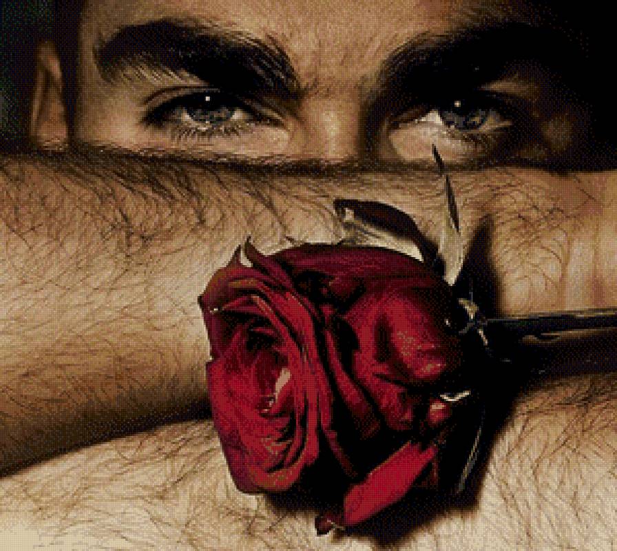 Красная роза - предпросмотр