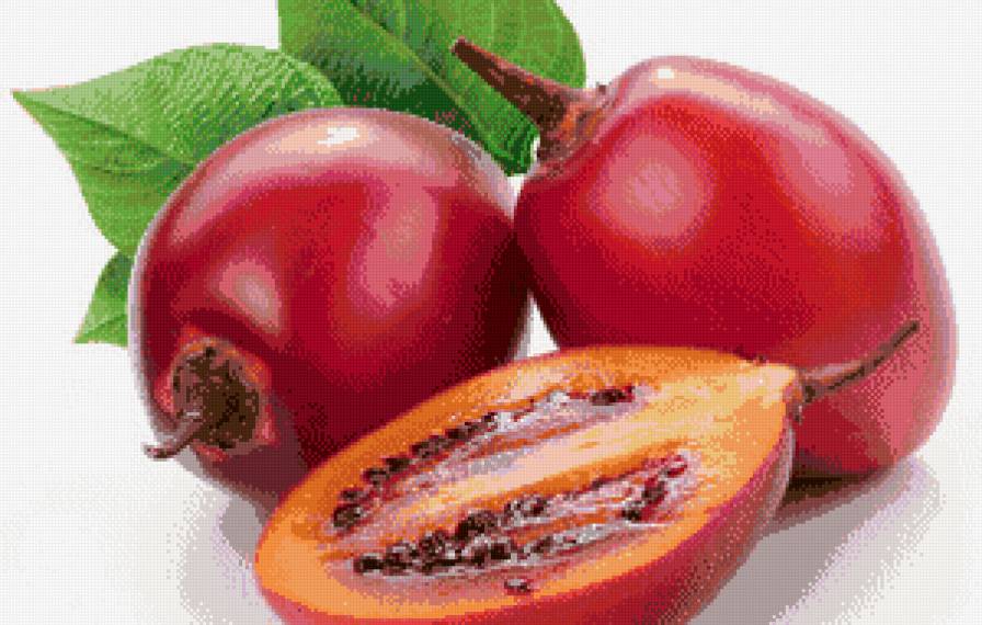 №693861 - фрукты - предпросмотр