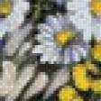 Предпросмотр схемы вышивки «Полевые цветы 7» (№693891)