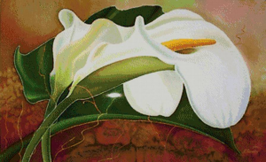 каллы - каллы, цветы, живопись, панно - предпросмотр