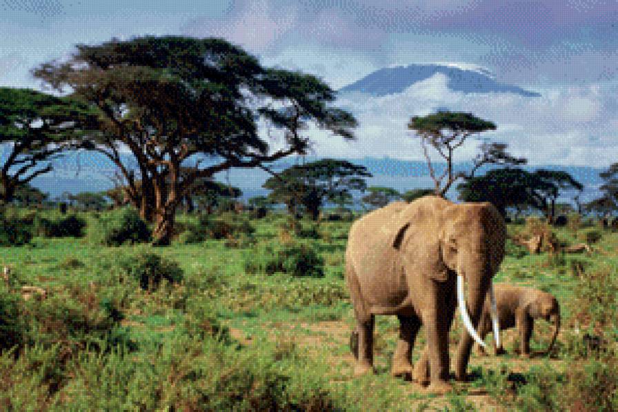 саванна - природа, слон, саванна, африка - предпросмотр