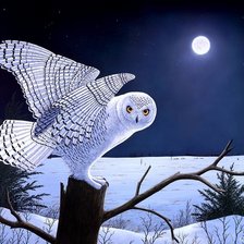 Схема вышивки «№694269»