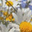 Предпросмотр схемы вышивки «Поле из ромашек» (№694285)