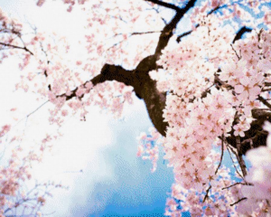 Весна - дерево, весна, природа - предпросмотр