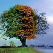 Схема вышивки «Времена года 2»