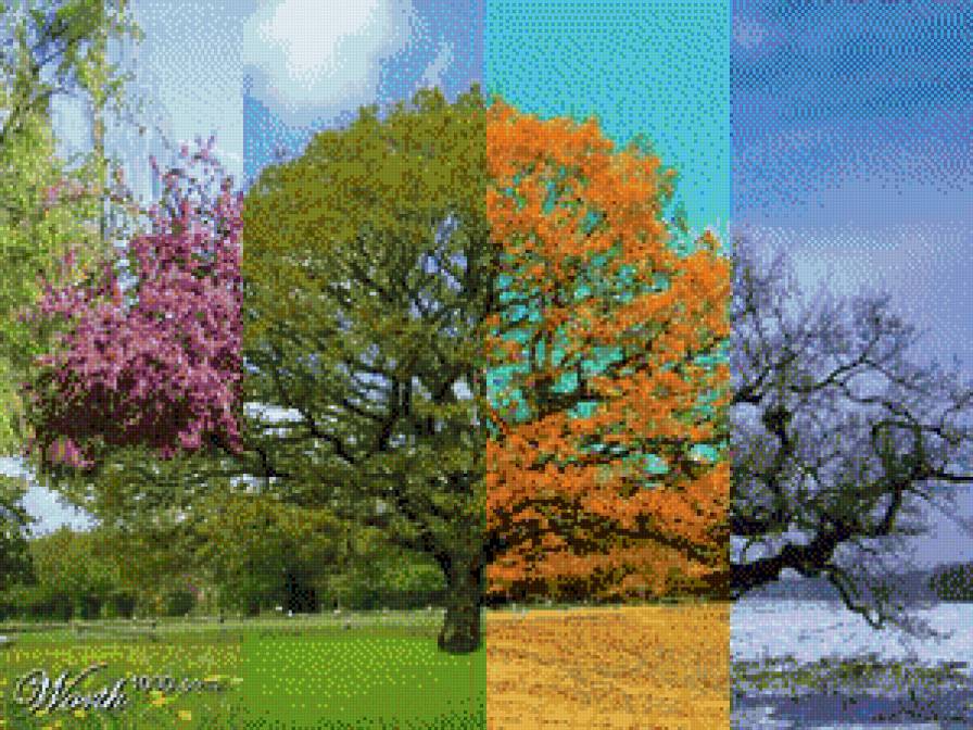 Времена года 7 - природа, пейзаж - предпросмотр