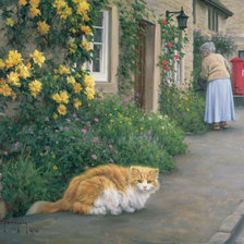 на прогулке