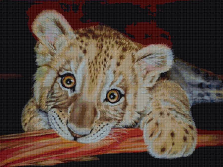 хищный котенок - тигр, животные - предпросмотр