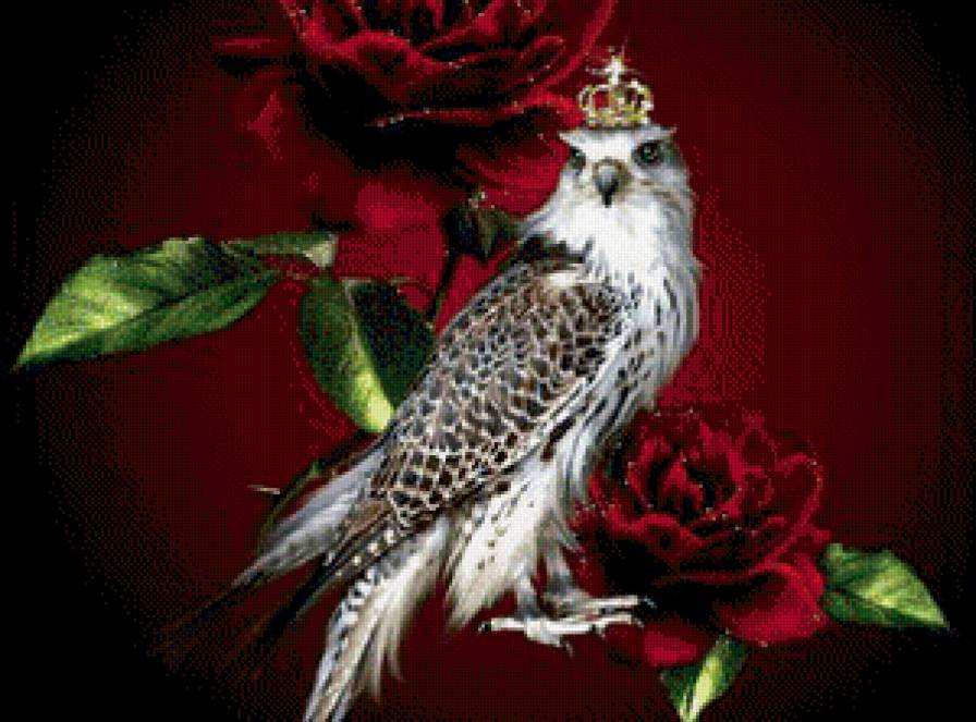 король птиц - сокол, корона, роза, птица - предпросмотр