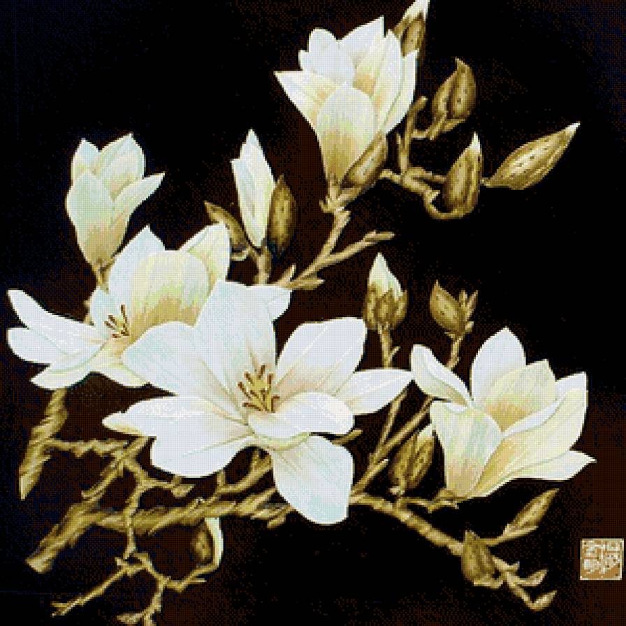 магнолия - цветы - предпросмотр