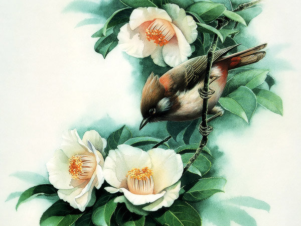 птица на цветке - птица, япония, ветка, цветок, восток - оригинал